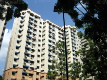 Blk 573 Hougang Street 51 (Hougang), HDB 5 Rooms #236302